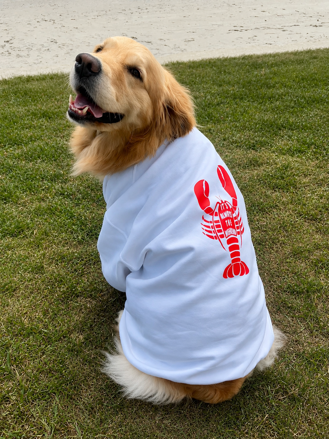 Lobster Crewneck Sweatshirt