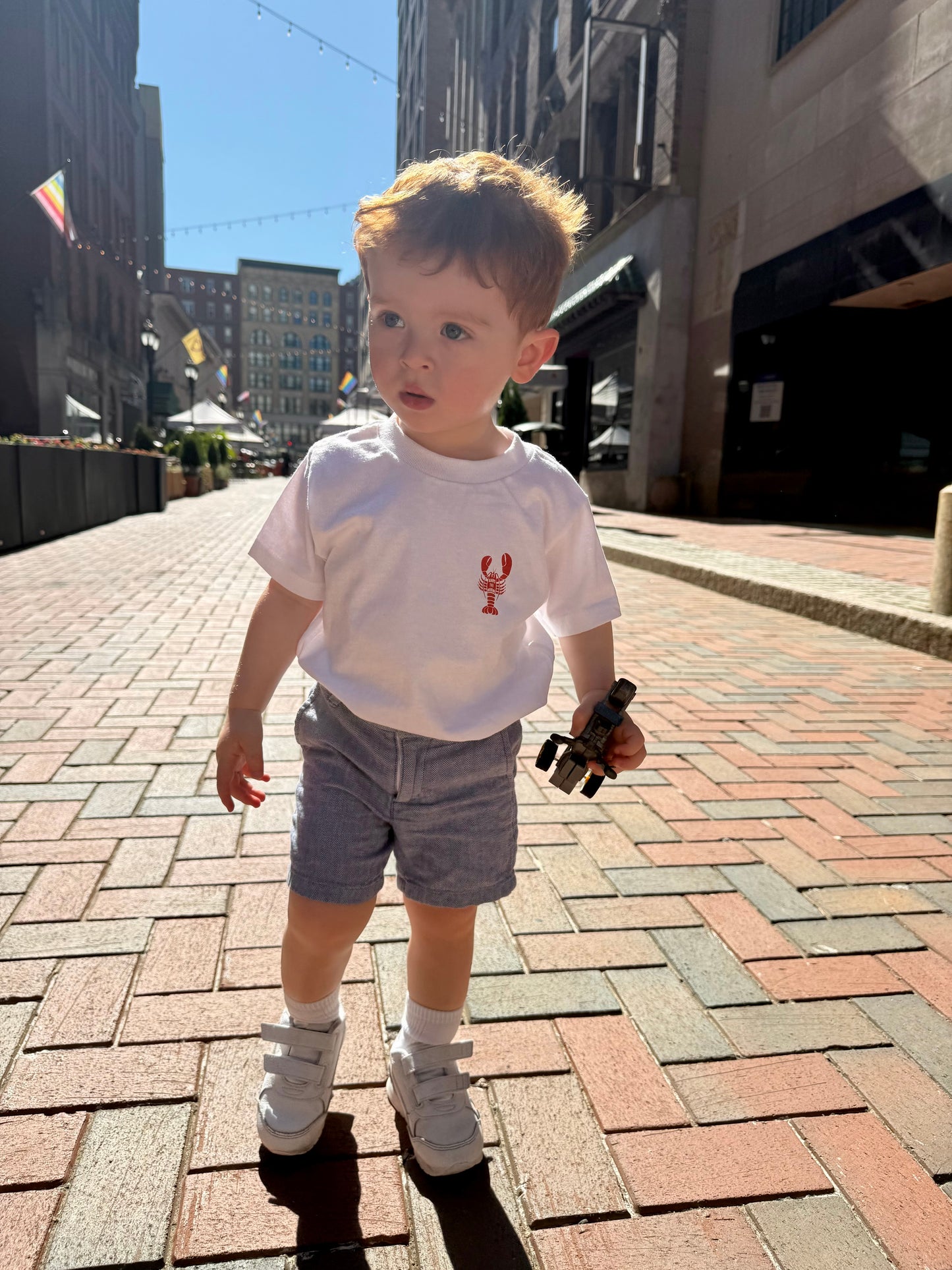 Youth Lobster Tee & Hooded Sweatshirt